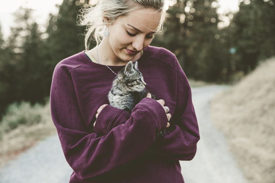 10 Reasons Your Spirit Animal Is Actually A Cat