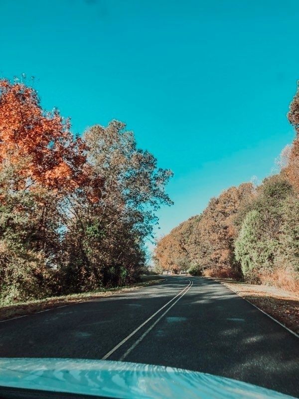 Why You Should Leave Home For College