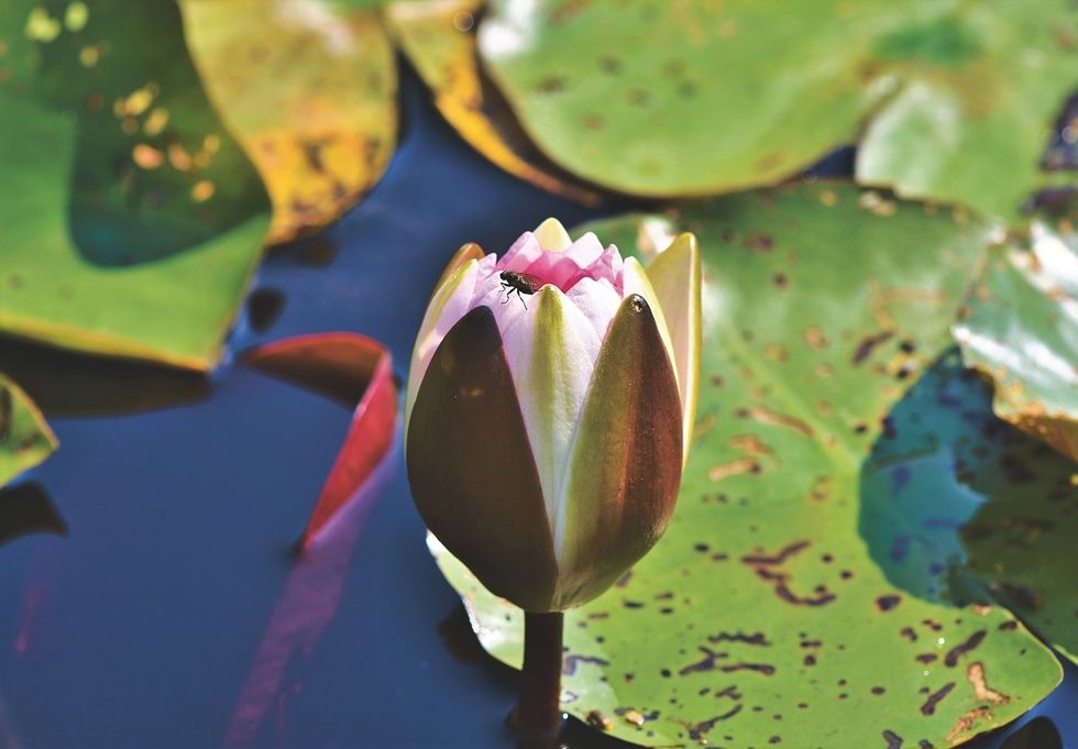 Sometimes Change is Necessary