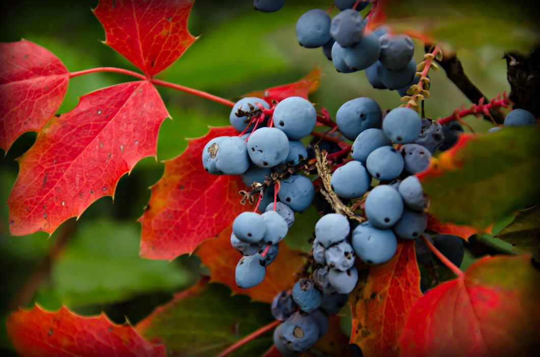 To everything, there is a season