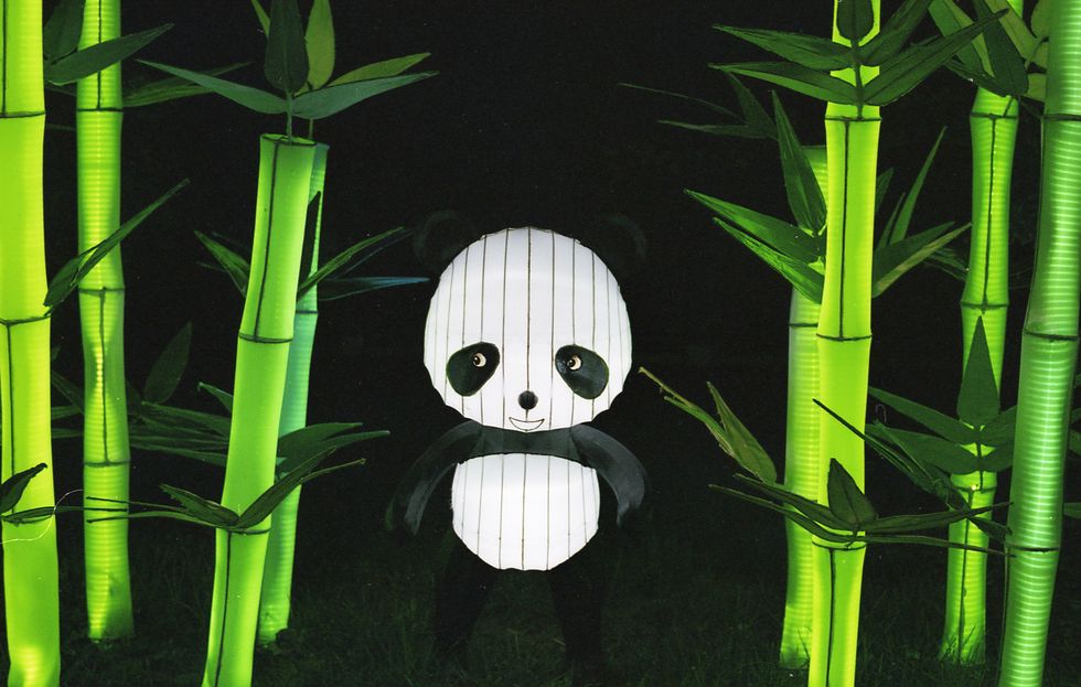 Analog Photography: Toledo Zoo Lights