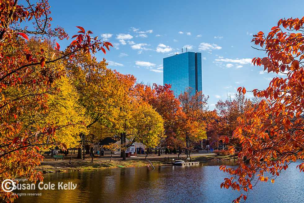 The Enchanted Autumn Foliage