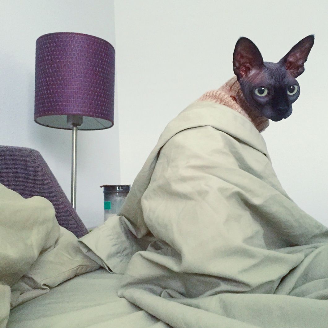 30 Weird Things My Roommate Does ft. Your Cat