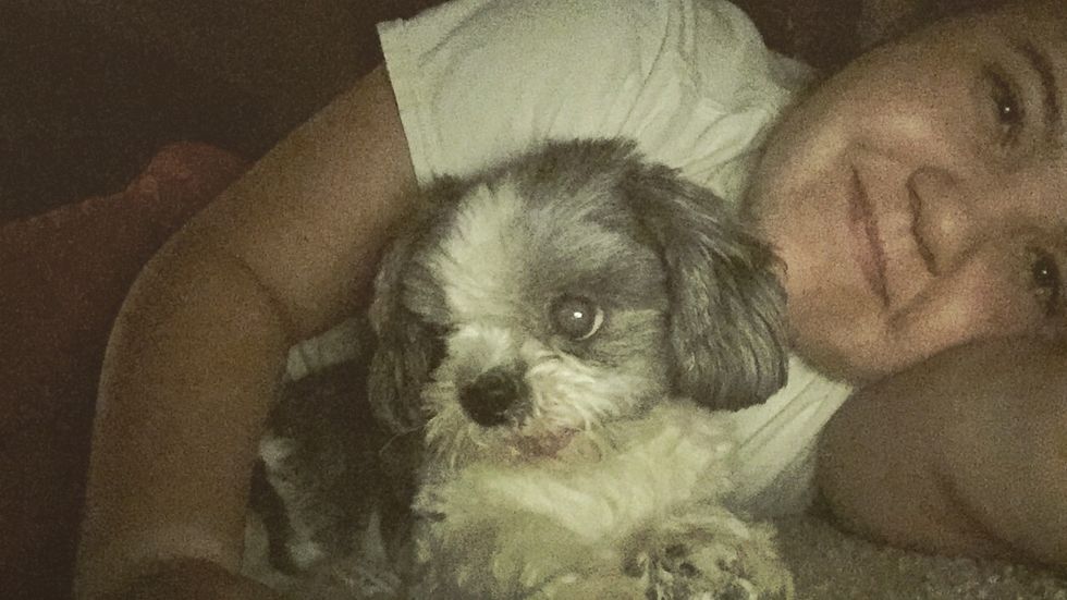 The Debate 'Dogs VS. Cats' Is A Serious One, So Let's Settle This Thing Once And For All