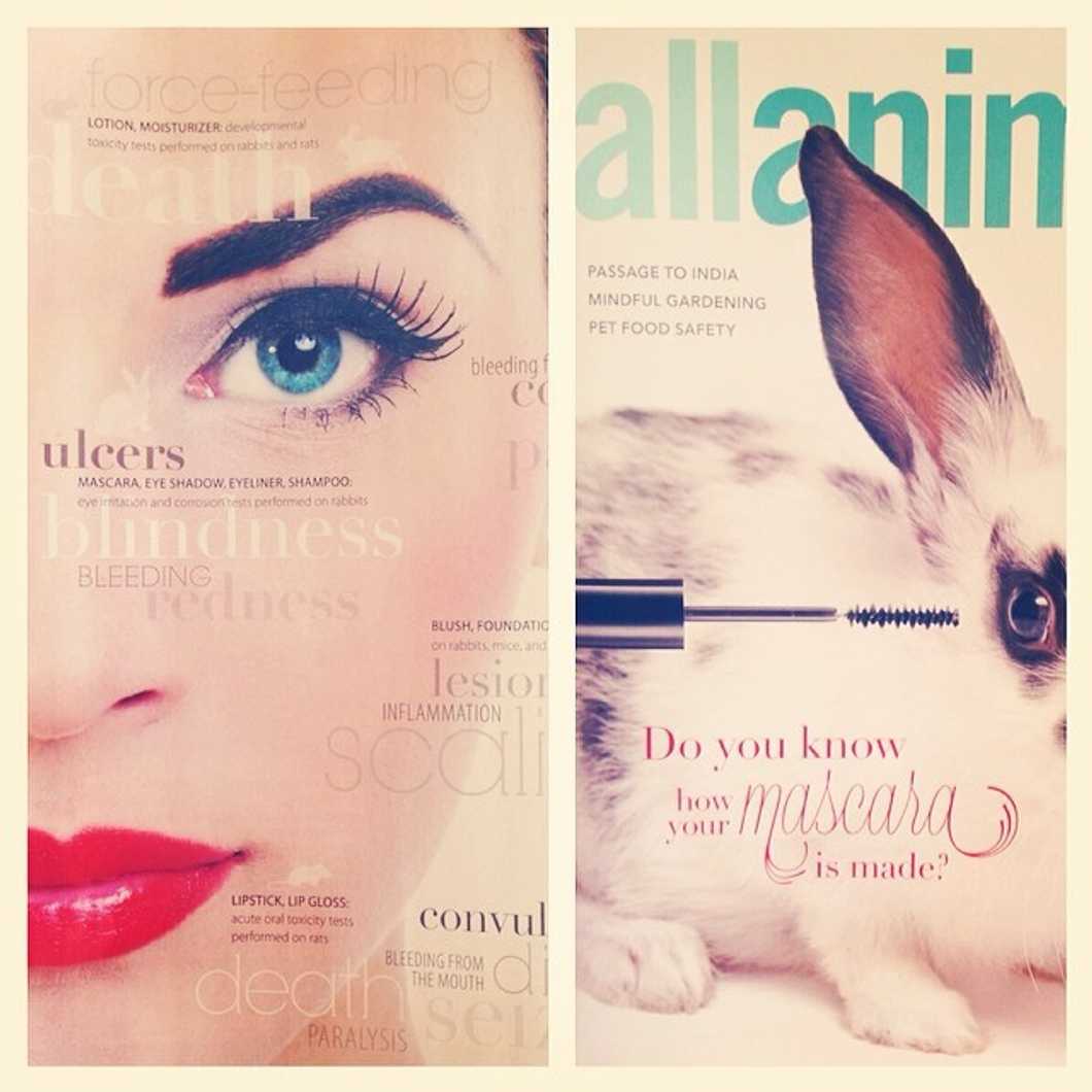 Why You Should Care About Going Cruelty Free