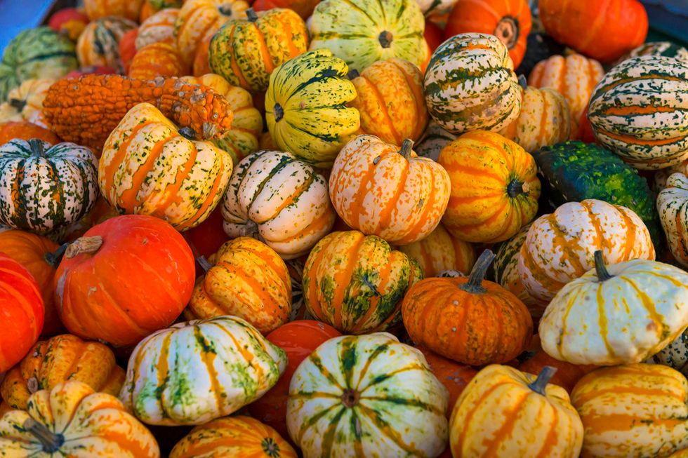 It's Not Too Late: 7 Ways My Roommates And I Bedazzled Our Leftover Pumpkins