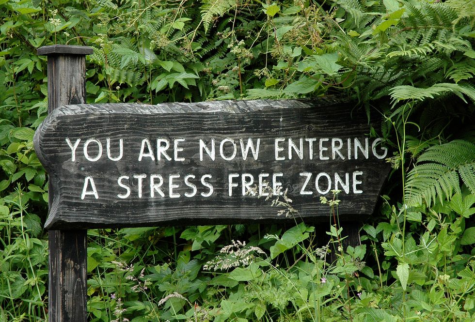 How to Survive Stress During Finals | The Odyssey Online