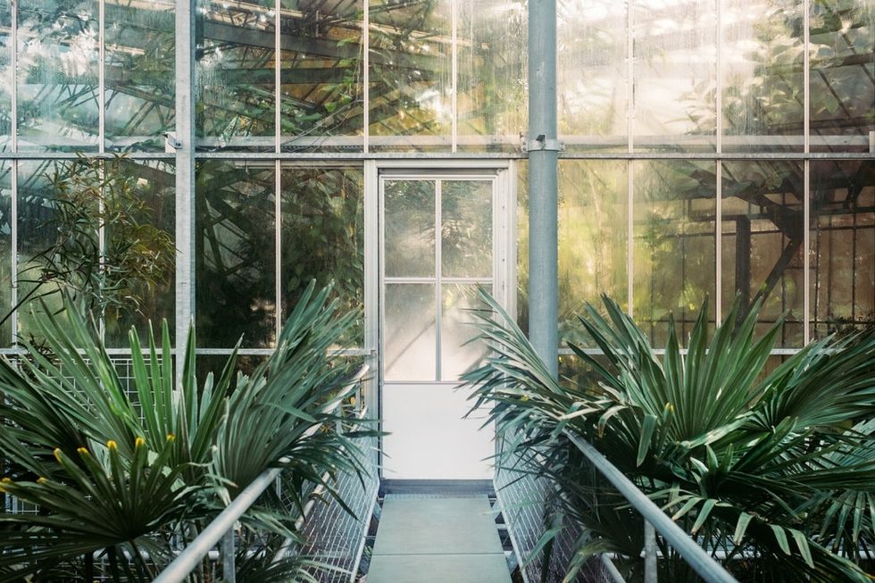 Understanding The Green Glass Door: A Different Perspective On Social Media