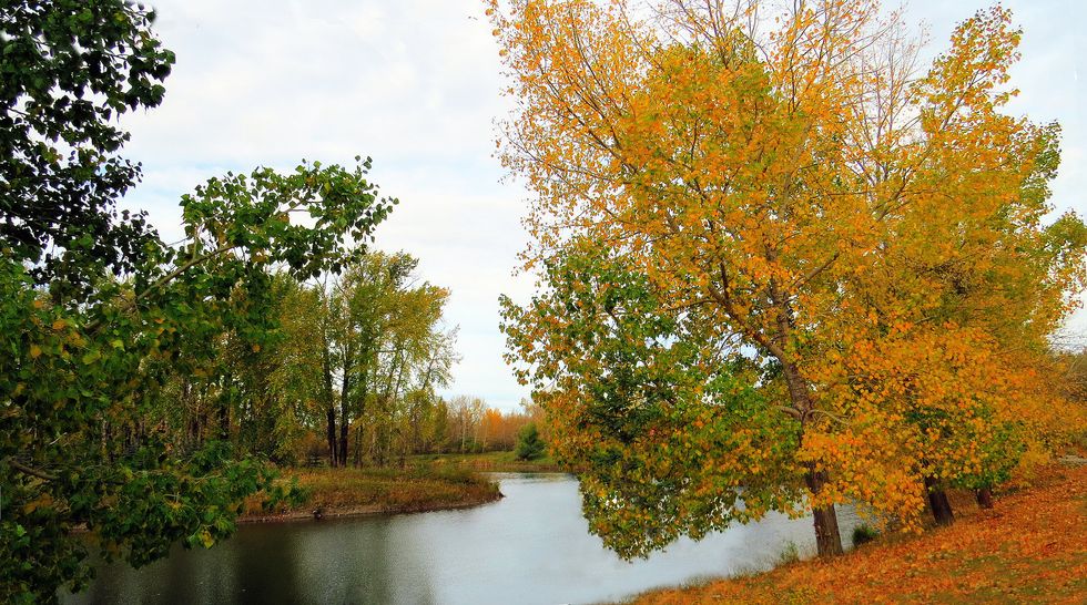 I'm Just A Girl With Metathesiophobia, Learning To Be OK With It