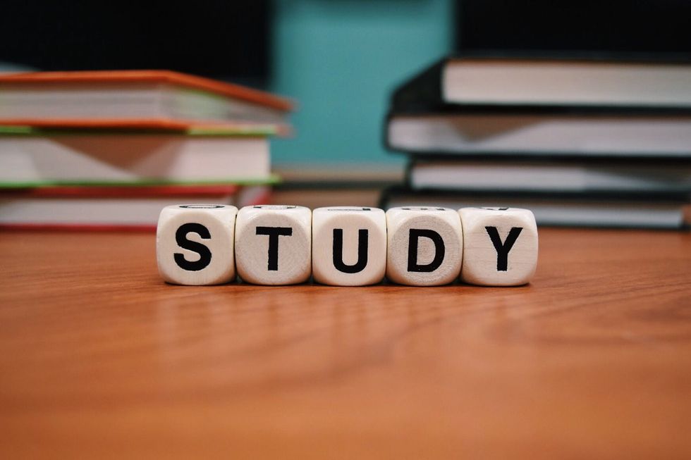 4 Essential Study Habits for Any Successful College Student