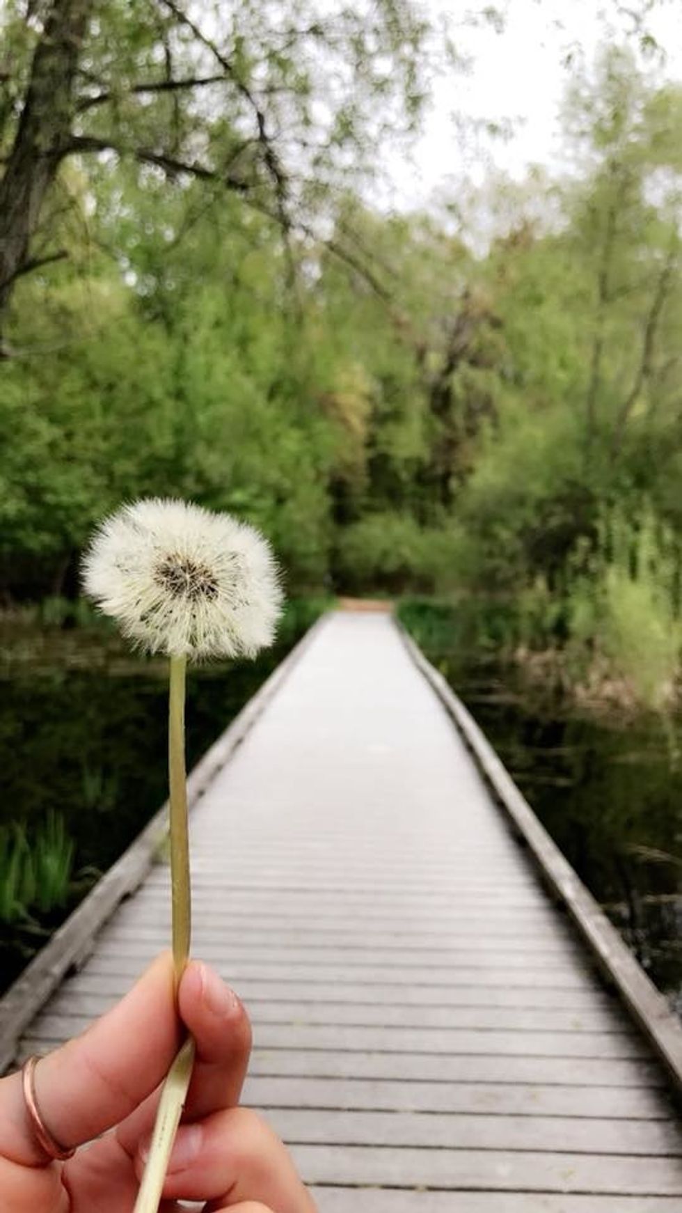 10 Things I Hope To Do In 2019