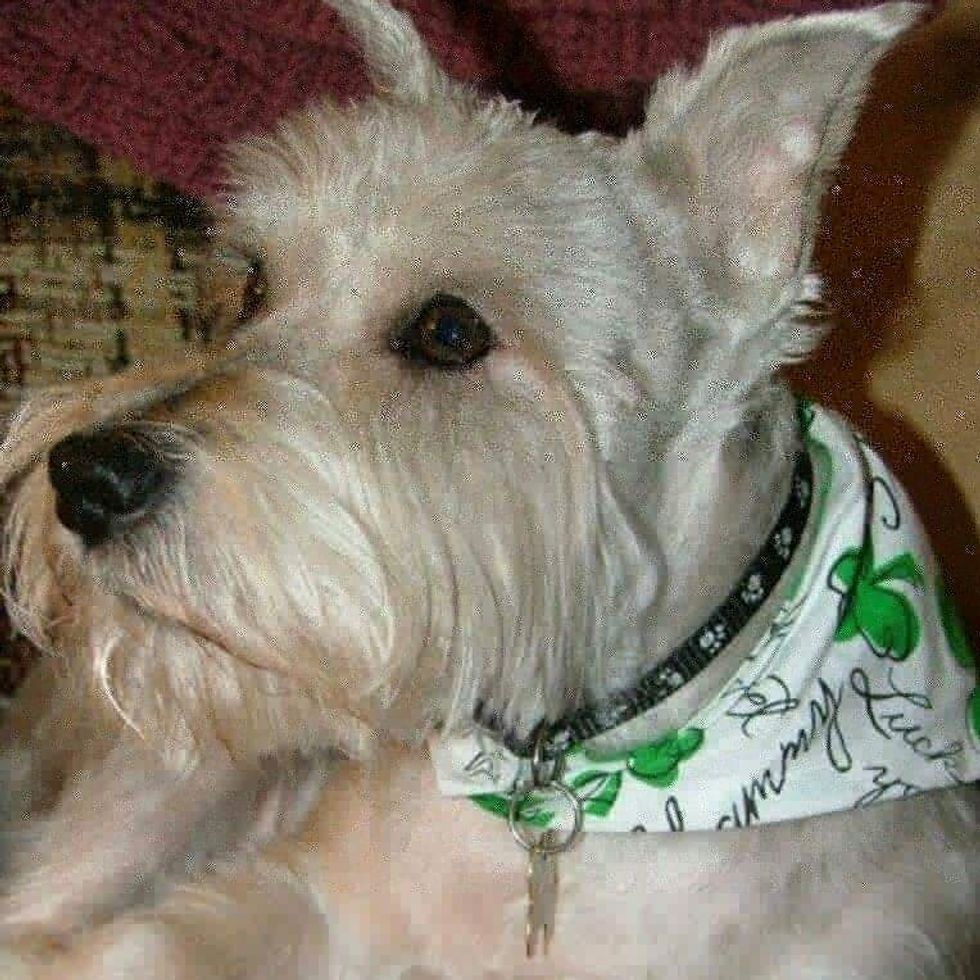 To My Best Friend: A Poem