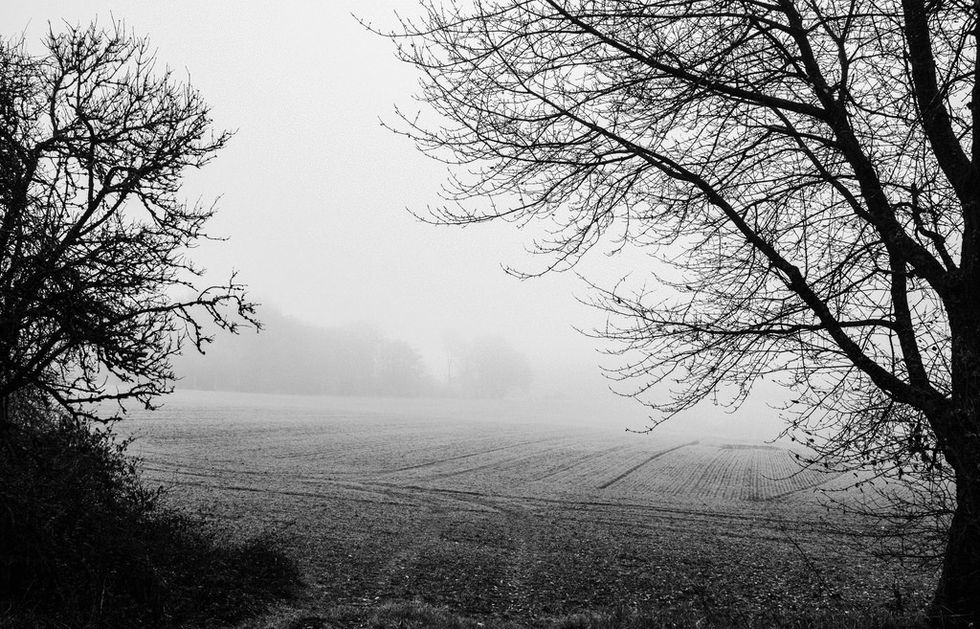 The Worst Day of My Life