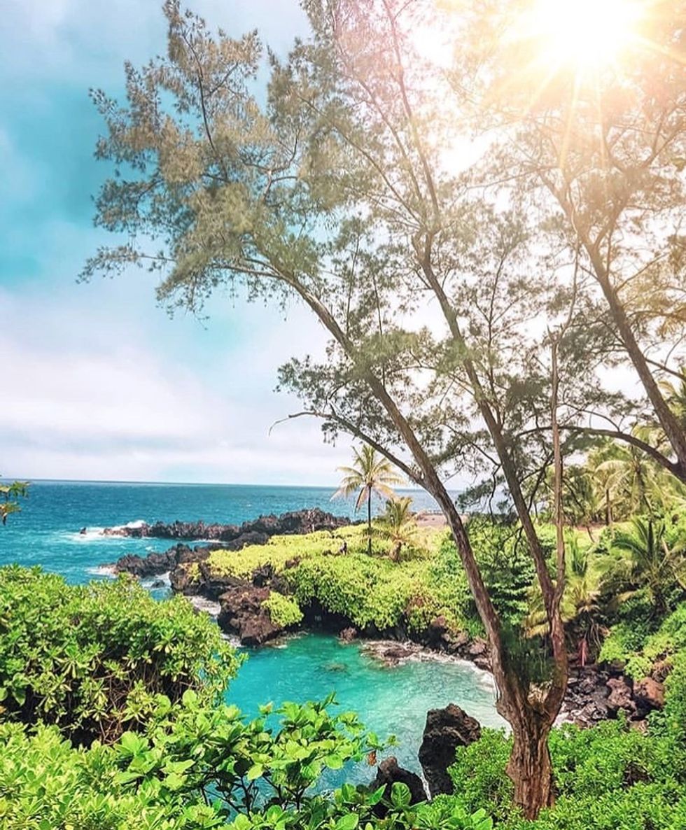 3 Hawaiian Swimwear Brands You MUST Try The Odyssey Online