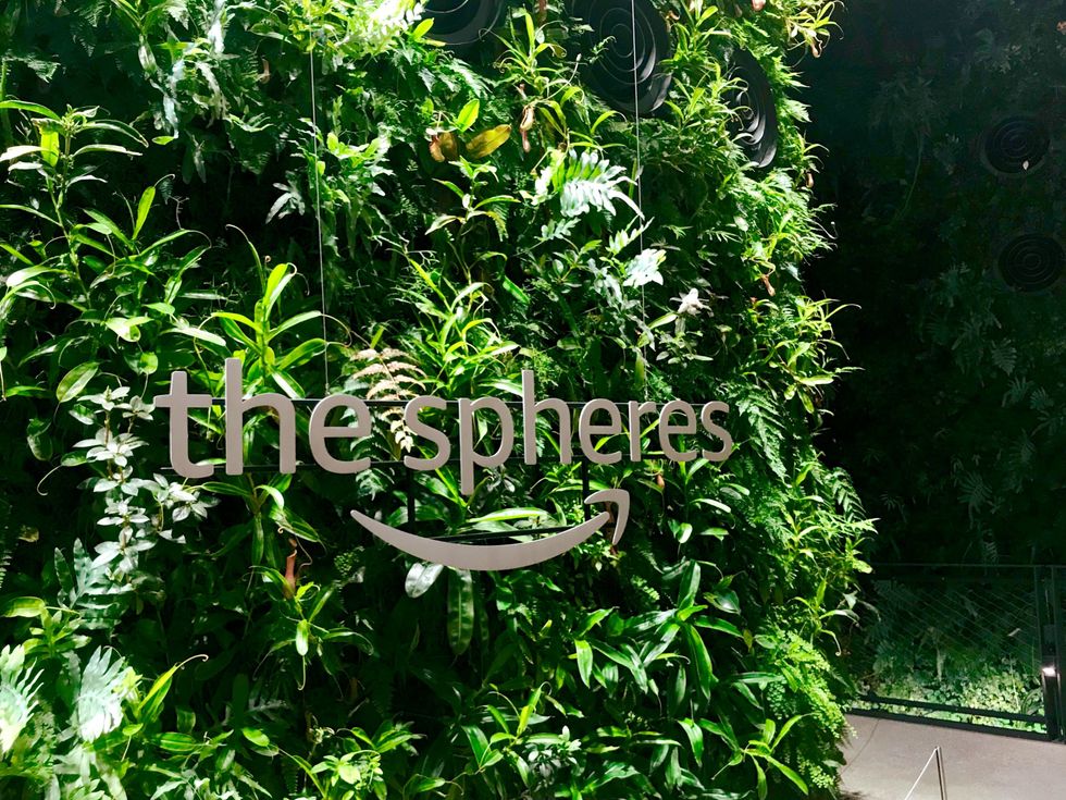 Inside The Jungle In The Middle Of Seattle