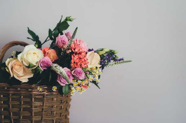 55 Things To Do To Help You Bloom, Even in Winter
