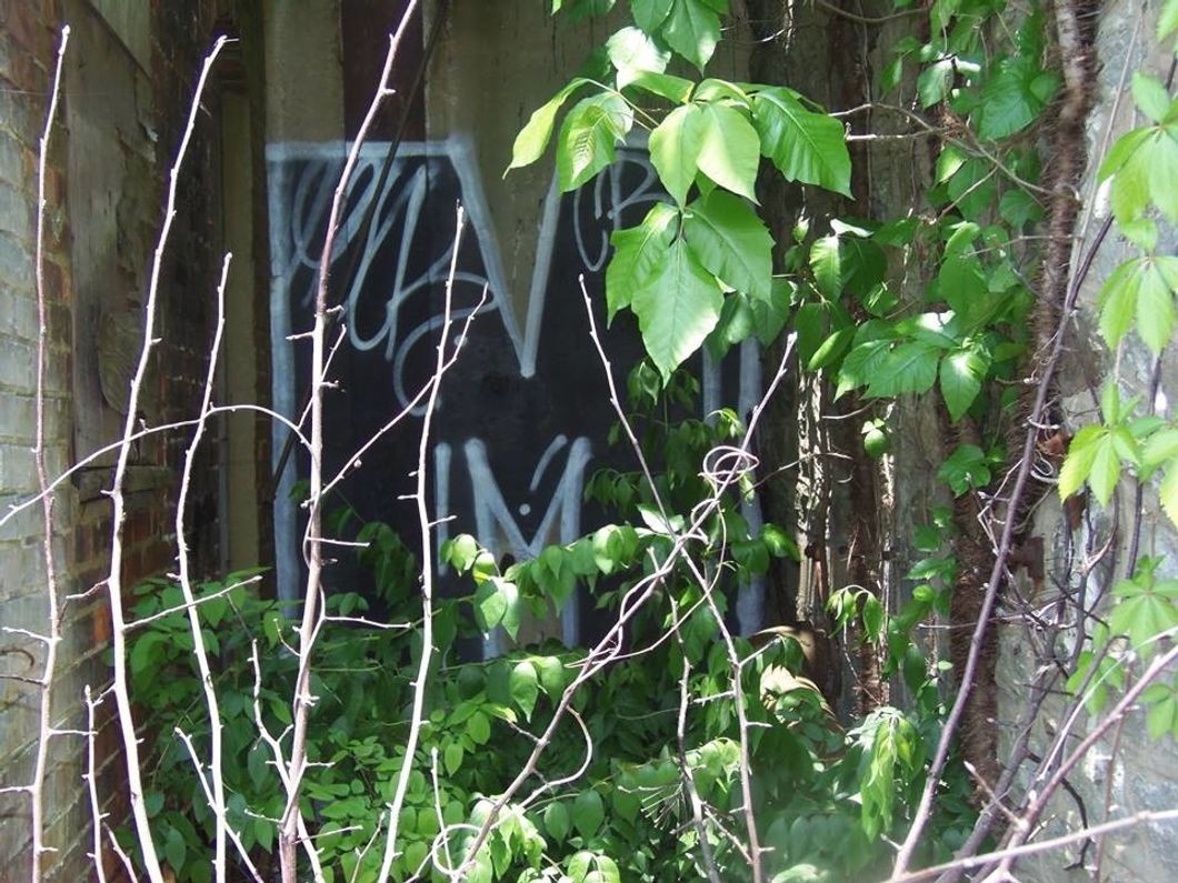 Poetry On Odyssey: Monoamine Traps