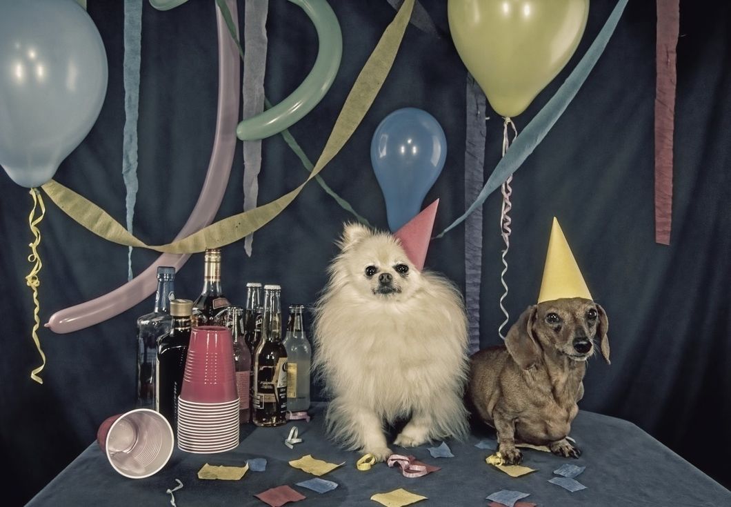 5 Reasons You Absolutely Must Have A Birthday Party For Your Pet