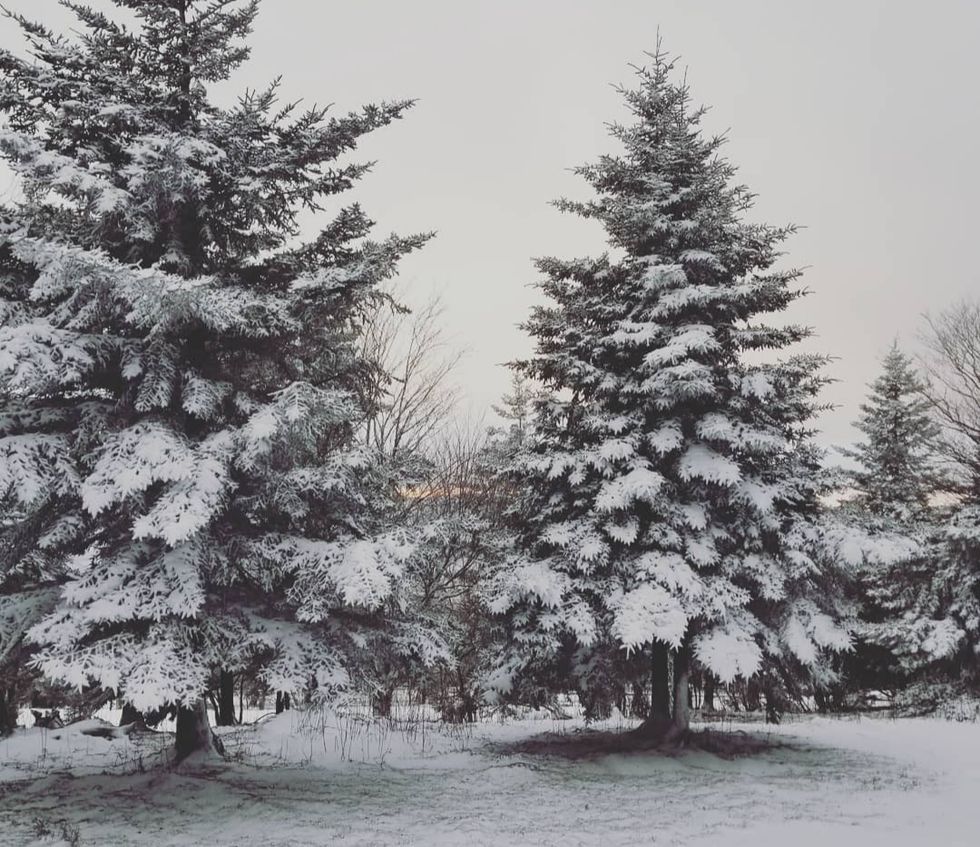 The Top 5 Winter Activities No Winter Break Is Complete Without