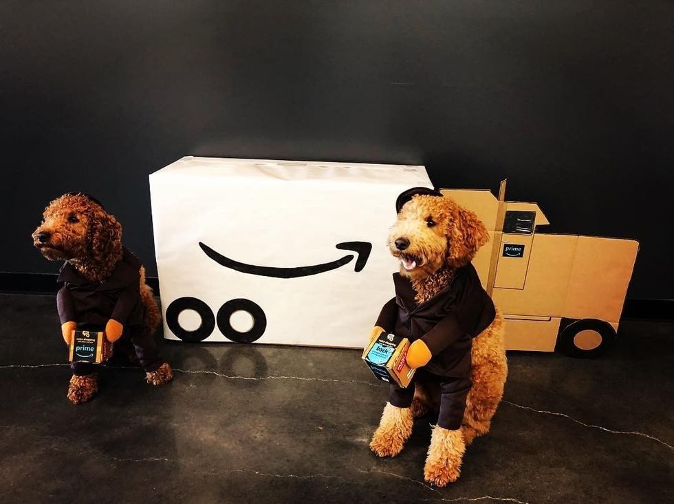 The Easy Amazon Prime Holiday Gift Guide For The Last Minute Shopper (Like Me)