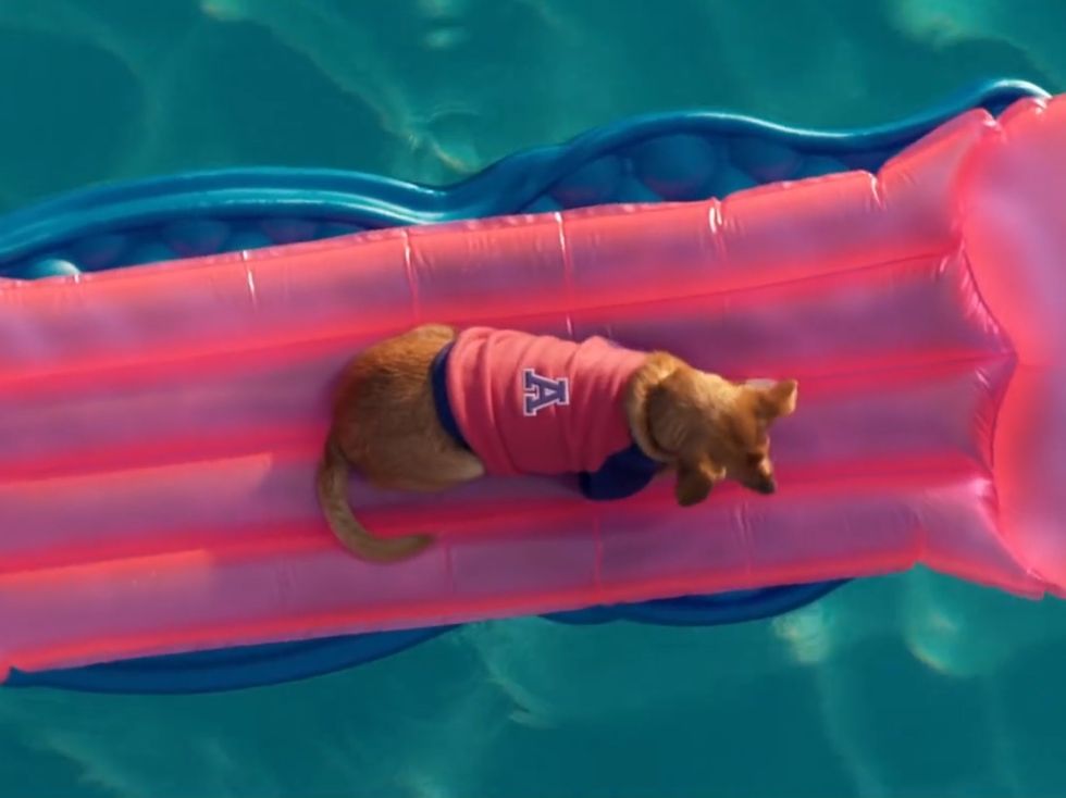 5 Milestones Every Girl Goes Through, As Taught by Legally Blonde