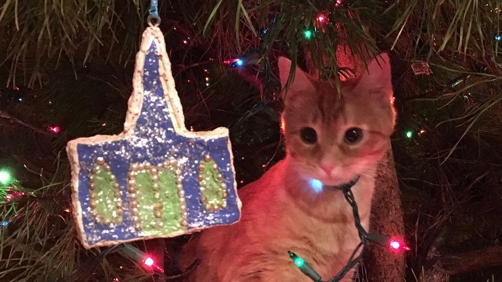 Traditions: It Wouldn't Be Christmas Without Them