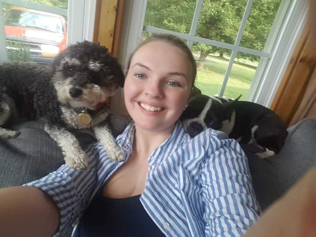 5 Reasons Why Boston Terriers Are So Doggone Amazing