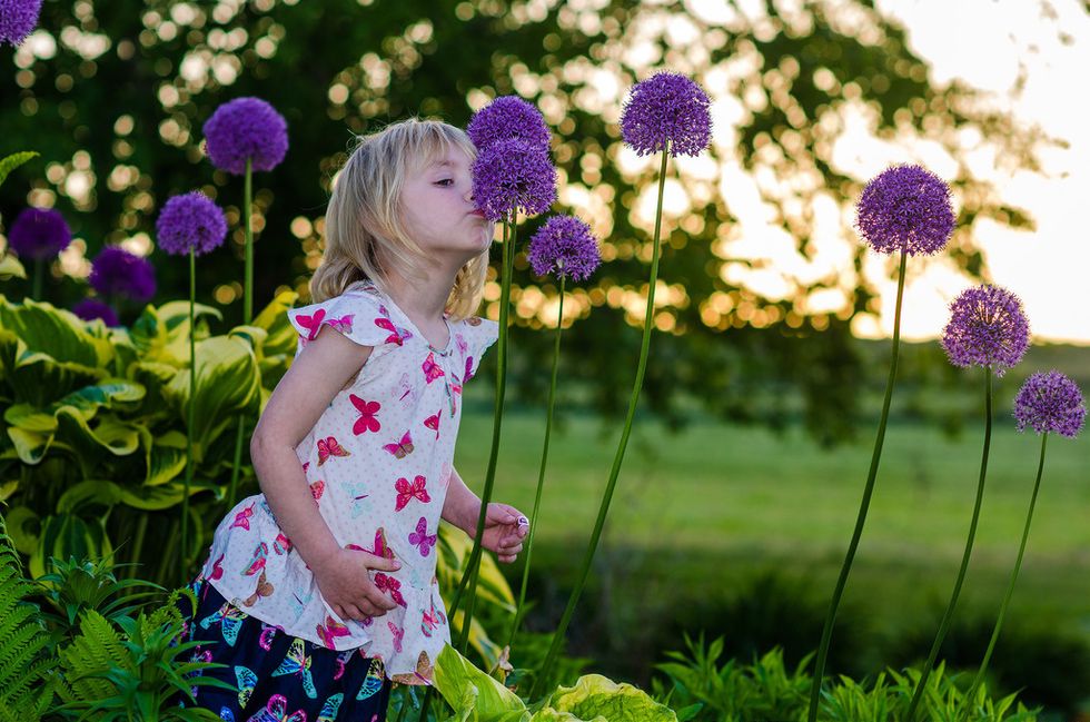 Do Flowers Make Any Day Better? Heck Yeah, They Do!