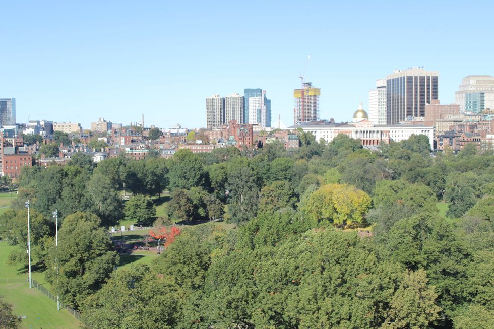 One Semester, Different Voices