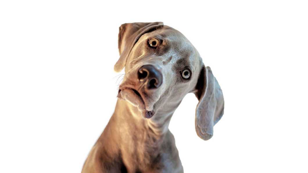 Y'all... The Earth Is Not Flat