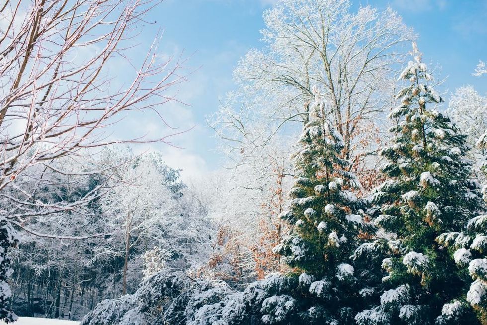 5 Winter break Activities That Are Snow Joke