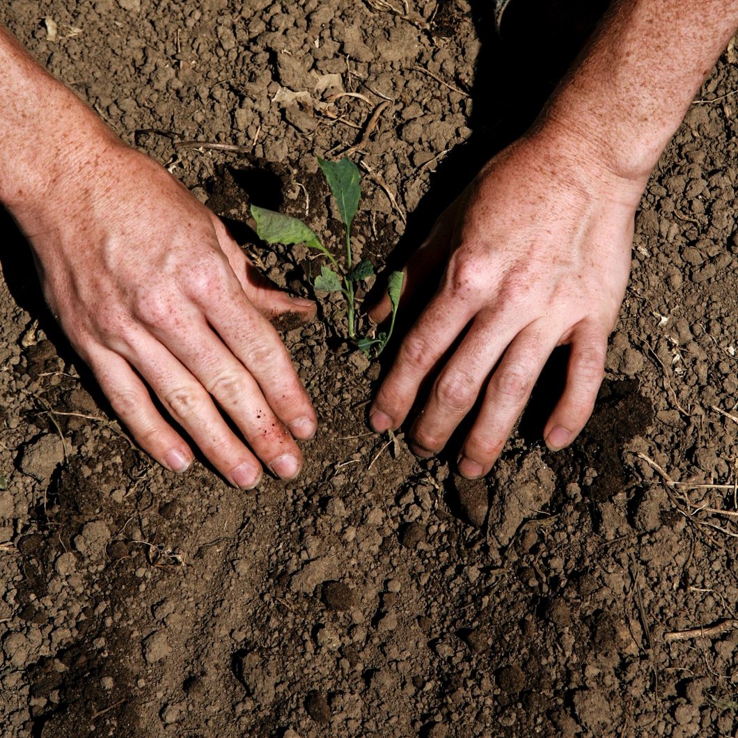 What's Wrong With The Ordinary?