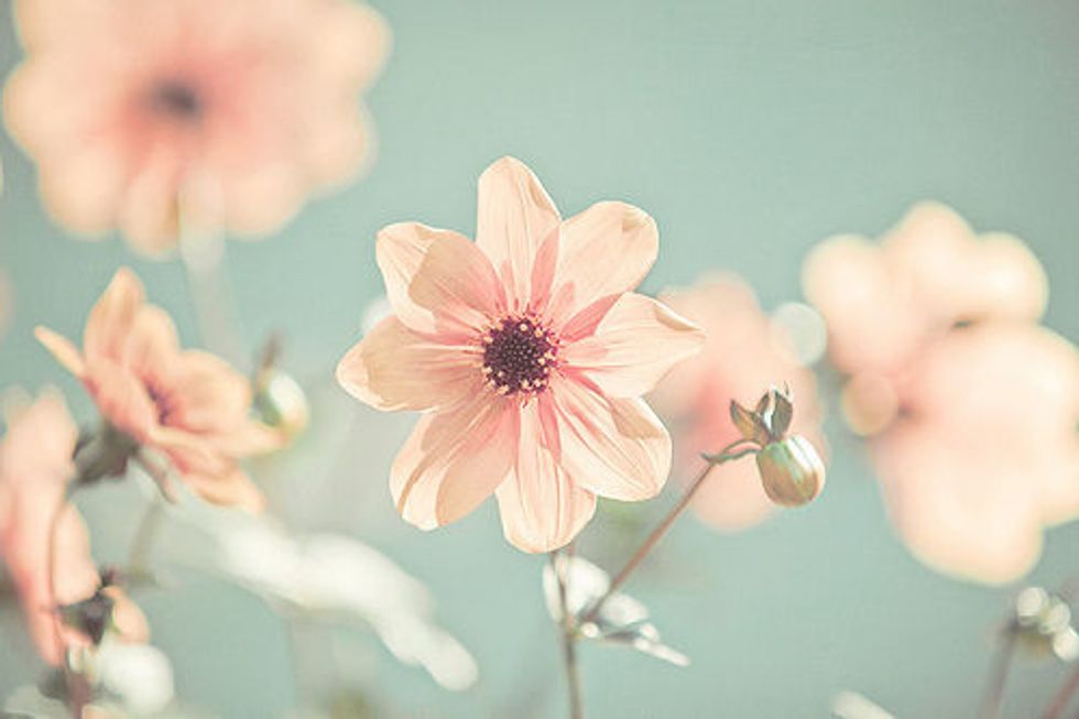 5 Reasons Having a Vagina Sucks