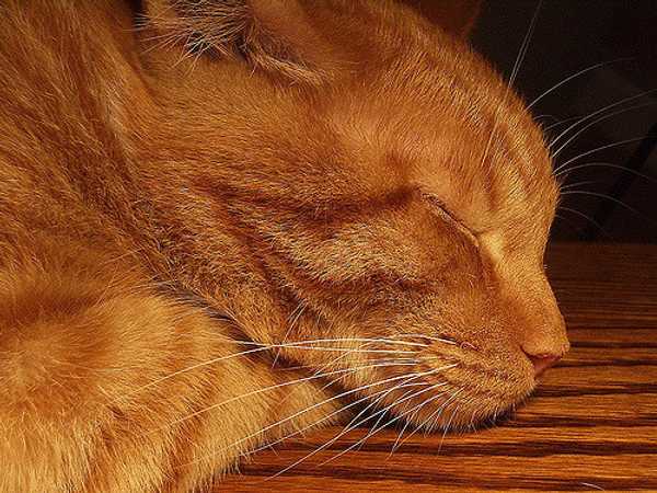 11 Moments You'll Recognize If You're A Light Sleeper