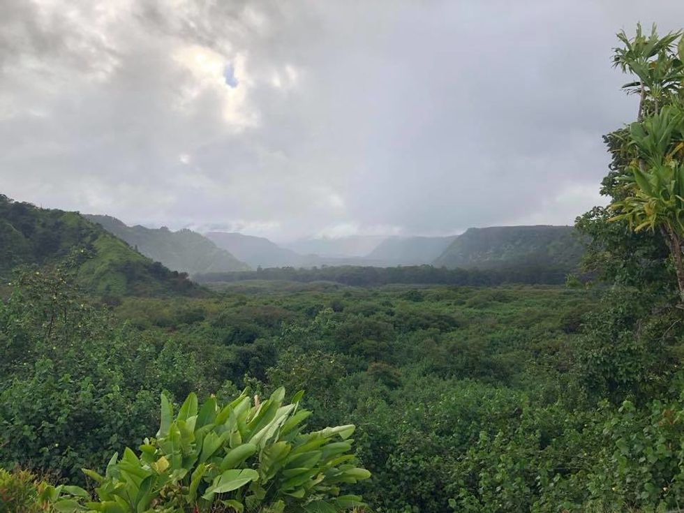 What Home Means: Navigating the Seasons of My Life