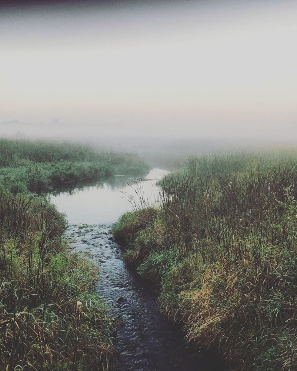 As Passionate As The Fruit