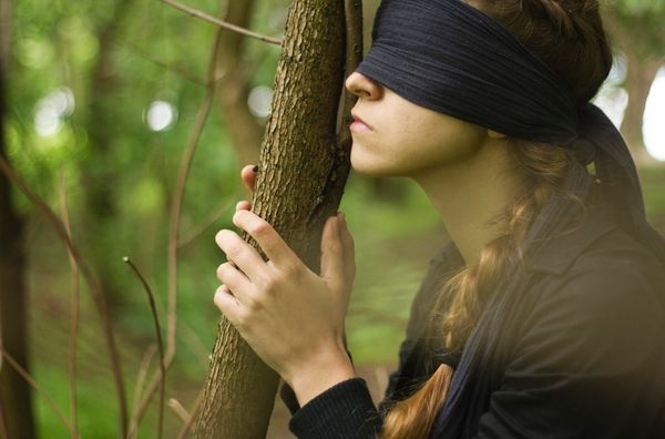 Word Of Mouth Is Powerful, And We Wasted It On 'Bird Box'