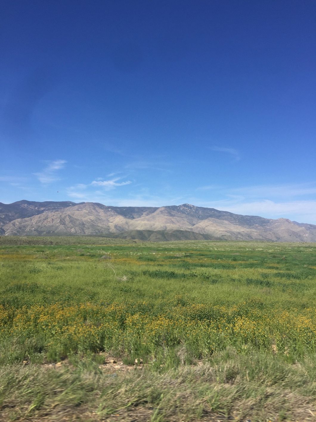 I Will Never Again Underestimate The Power Of God