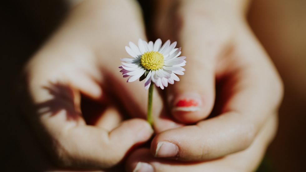 To The Person Struggling With Forgiveness, Choose Forgiveness Anyway