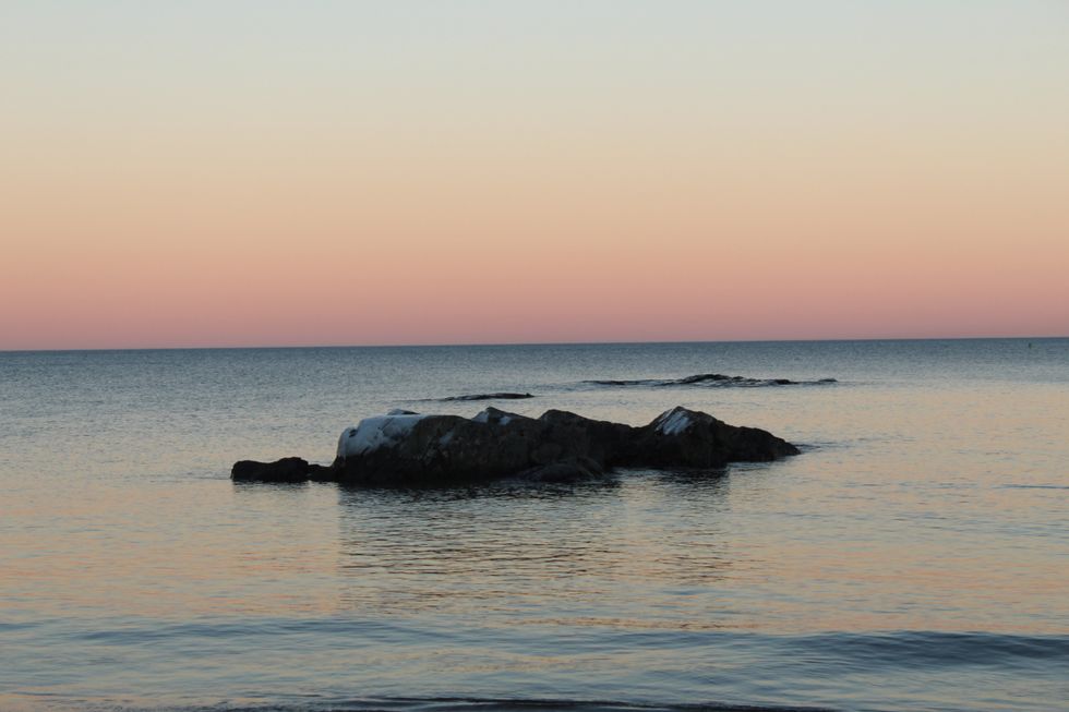 An Expository On Mentally Ill Inmates In Solitary Confinement