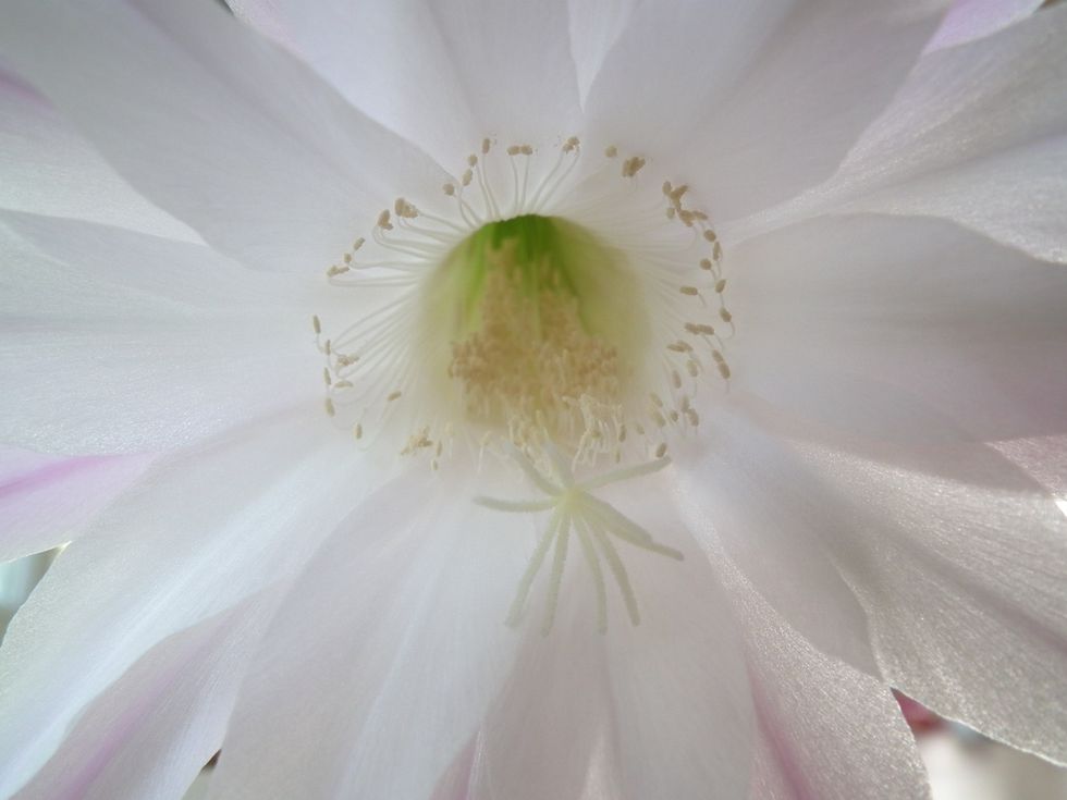 Come dire scusa per la perdita di qualcuno