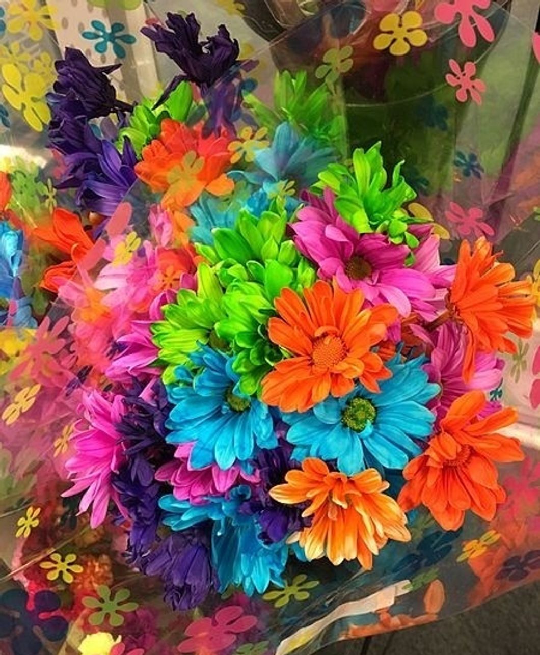 What I Wish I Had Known While Questioning My Sexuality