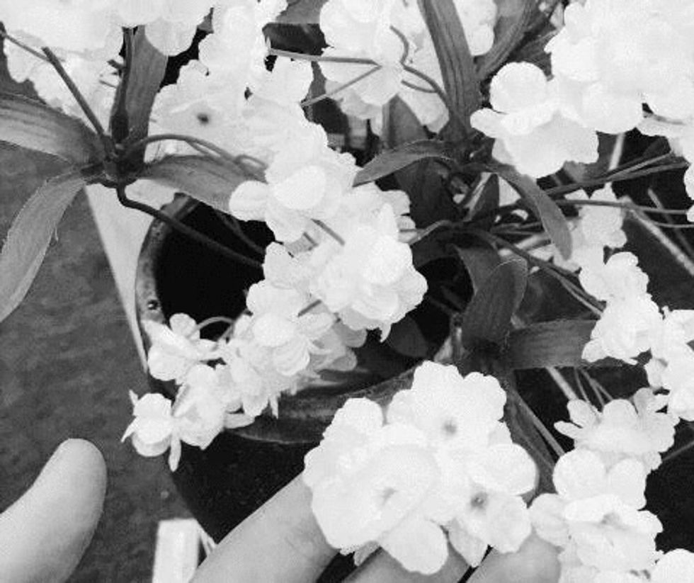 The Flowers Died On Sunday