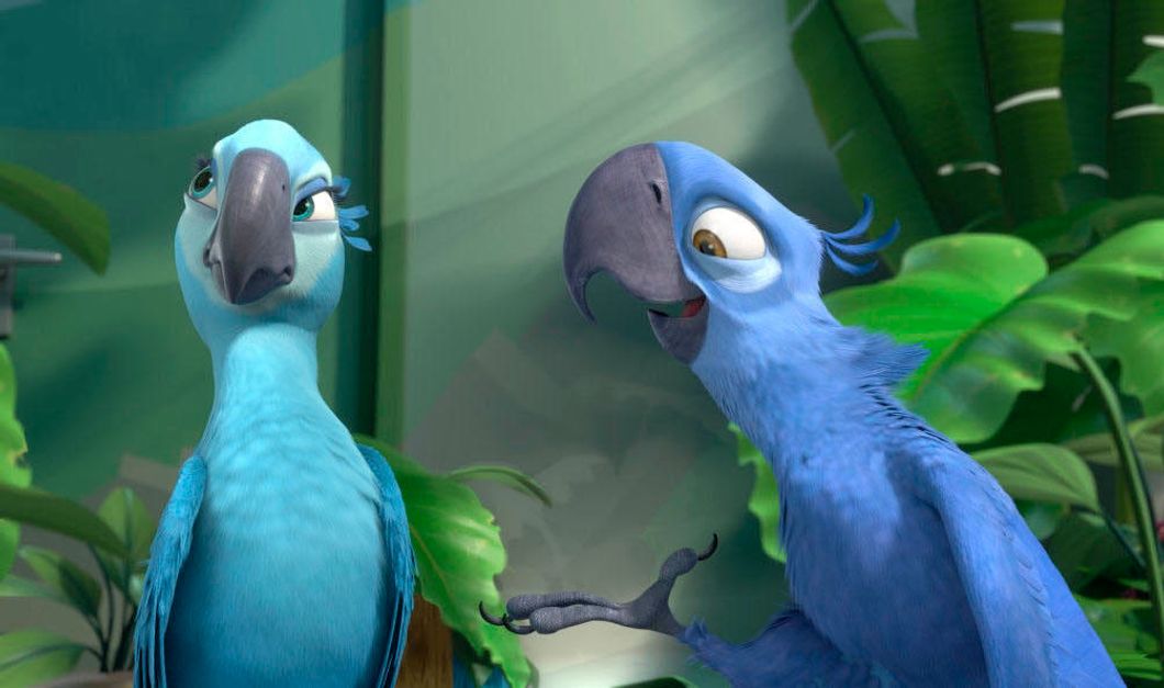 The Parrot From 'Rio' Is One Of 8 Species To Go Extinct This Decade