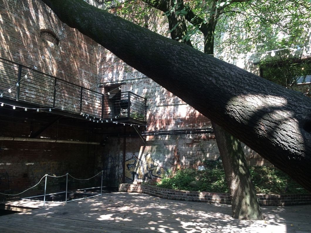 5 Hidden Gems Of Athens, GA