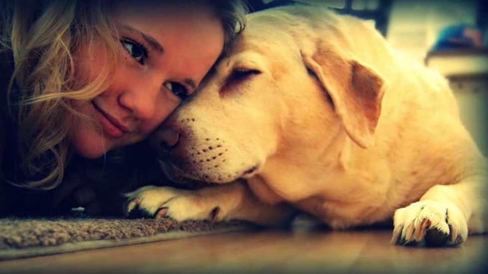 Fur-Babies Are What Make A Family Whole