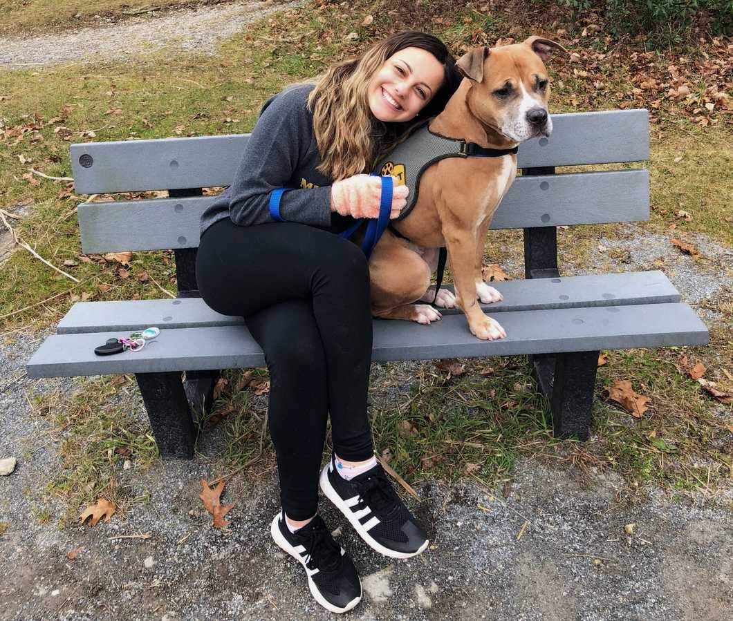 What it's like to Volunteer at an Animal Shelter