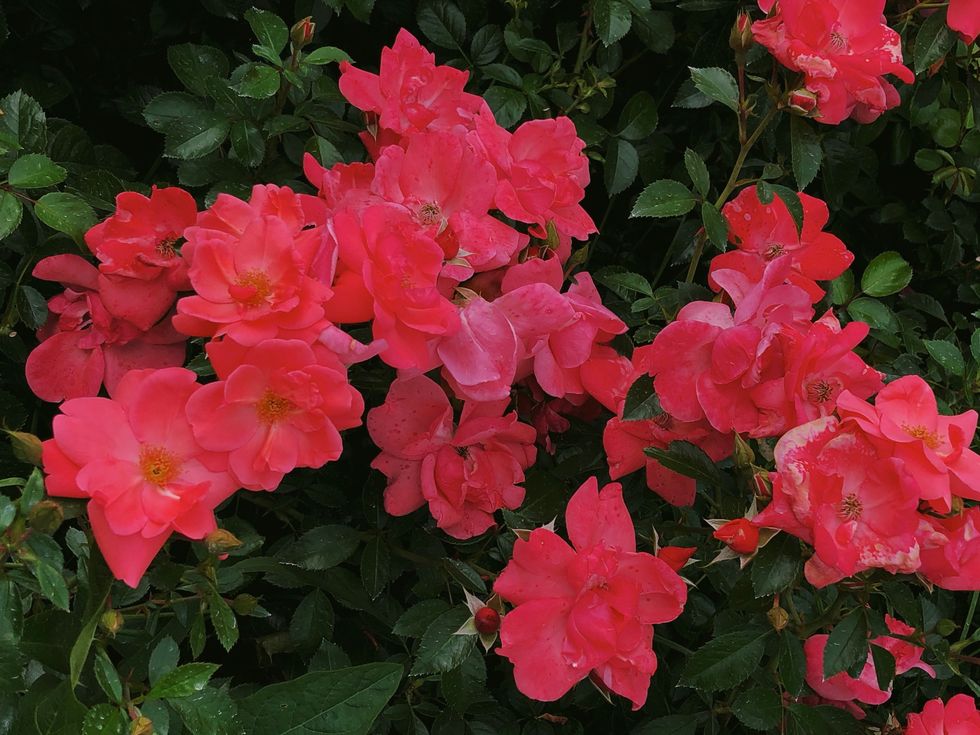 To The Girl That's Unsure When To Start Dating Again