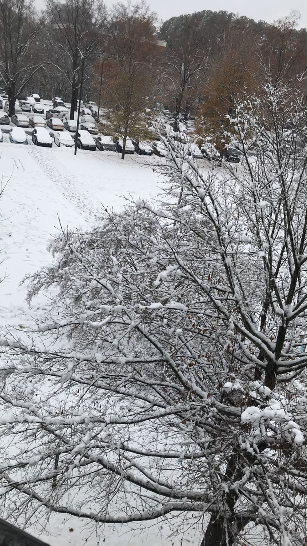 I Took 5 Finals In 36 Hours To Be Able To Go Home For Winter Break