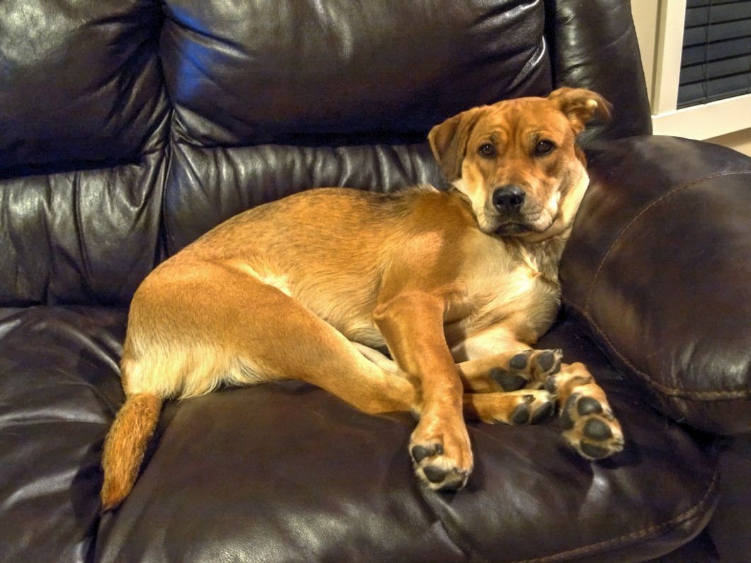 How To Avoid That Second-Semester Slump We All Know Is Coming